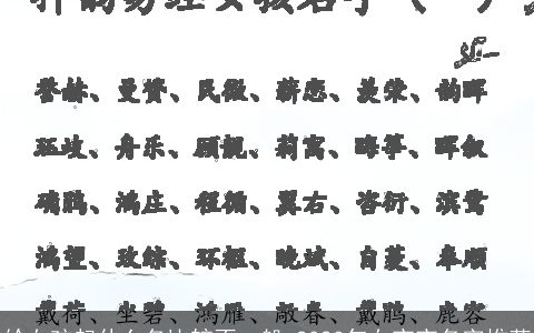 给女孩起什么名比较不一般 2024年女宝宝名字推荐