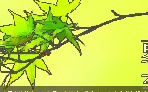 白露出生的宝宝名字用二十四节气取名字  有文化学名解析