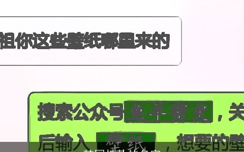 韩国姓朴的名字