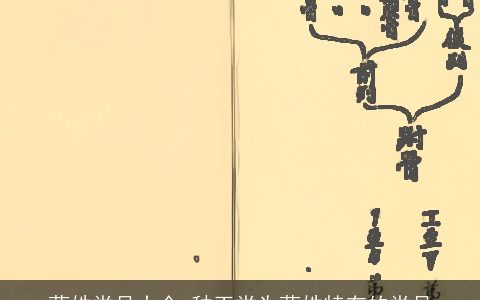 蓝姓堂号大全_种玉堂为蓝姓特有的堂号