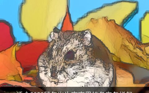 适合2024鼠年出生宝宝用的名字怎样起