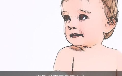 樊氏男宝宝名字大全