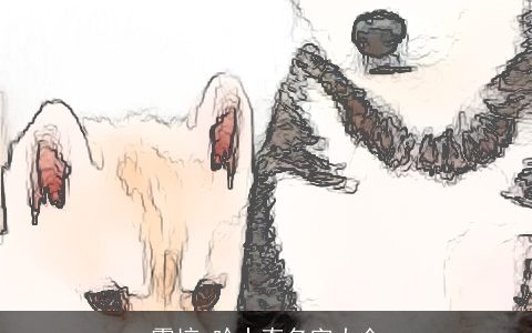 震惊 哈士奇名字大全