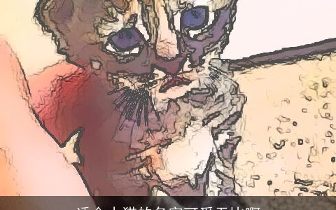 适合小猫的名字可爱无比啊