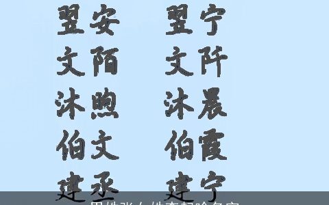 男姓张女姓李起啥名字