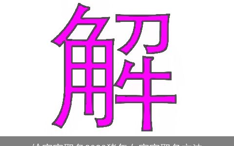 给宝宝取名2024猪年女宝宝取名方法