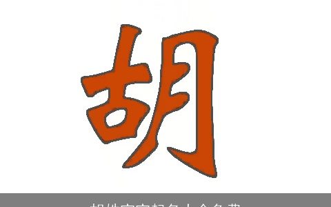 胡姓宝宝起名大全免费