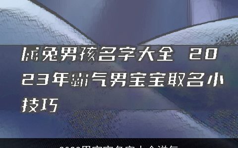 2024男宝宝名字大全洋气