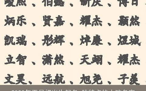 2024年正月初出生起名 独特点的小孩名字