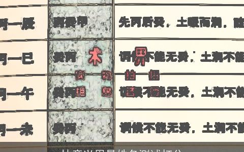 林彦兴周易姓名测试打分