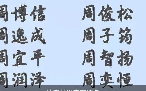 给李姓男宝宝取名