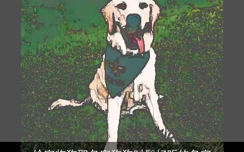 给宠物狗取名字狗狗时髦好听的名字