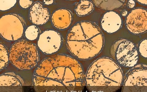 水旺缺木取什么名字