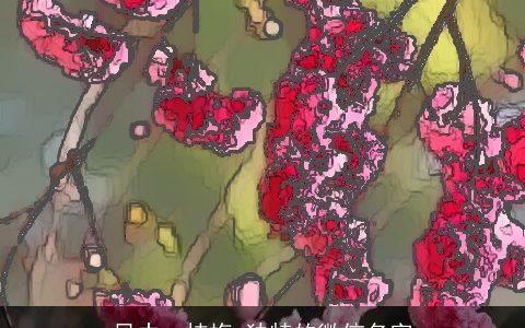 风中一枝梅 独特的微信名字