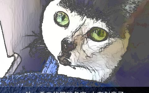 独一无二的猫咪名字 太有创意了