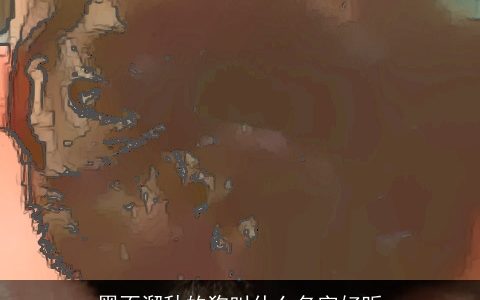 黑不溜秋的狗叫什么名字好听