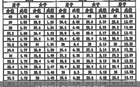 柏慧丽姓名测试打分最准