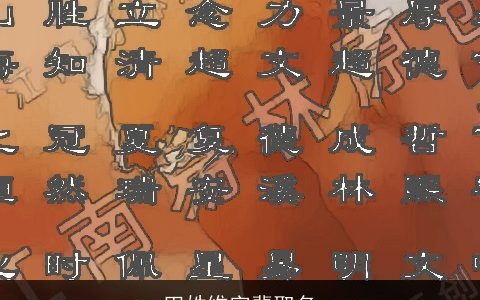 田姓维字辈取名