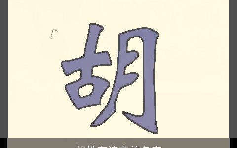 胡姓有诗意的名字