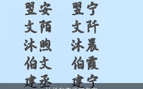 林姓和李姓取名字