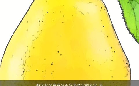 梨字起名寓意好不好带梨字的名字_名字大全 2024霸气寓意的带字小孩名