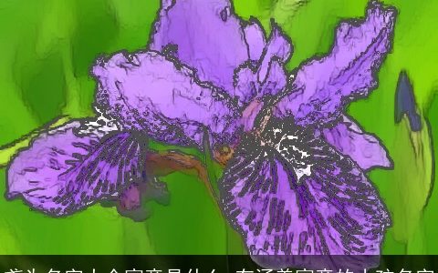 鸢为名字大全寓意是什么 有涵养寓意的小孩名字