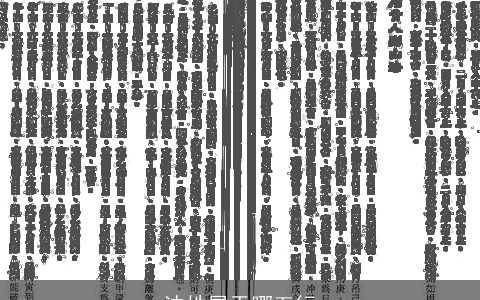 沈姓属于哪五行