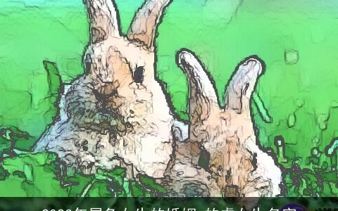 2024年属龙女生的婚姻 的虎女生名字