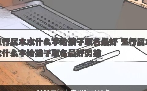 2024五行木字男孩子取名