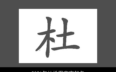 2021年杜姓男宝宝起名