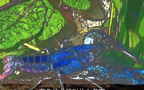 蓝色的龙虾叫什么名字