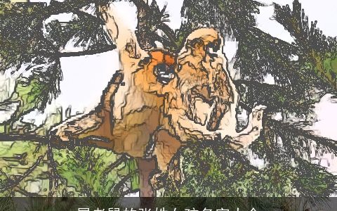 属老鼠的张姓女孩名字大全