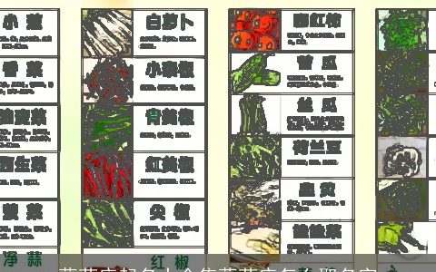 蔬菜店起名大全集蔬菜店怎么取名字