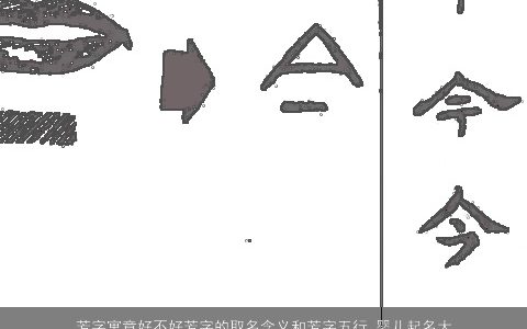 芳字寓意好不好芳字的取名含义和芳字五行_婴儿起名大全_宝宝取名2023高雅寓意的婴儿宝宝名字大全筛选