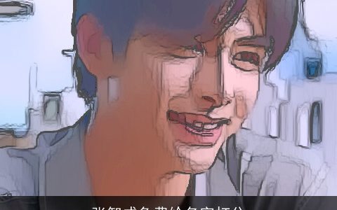 张智成免费给名字打分