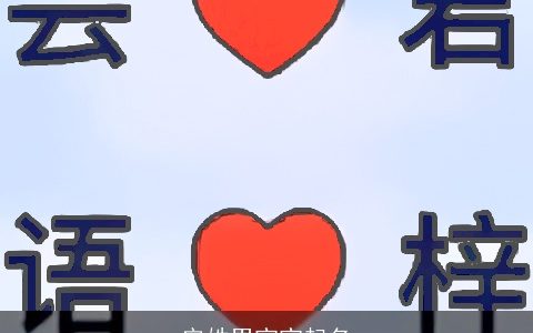 安姓男宝宝起名