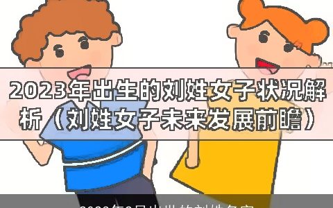 2023年2月出世的刘姓名字