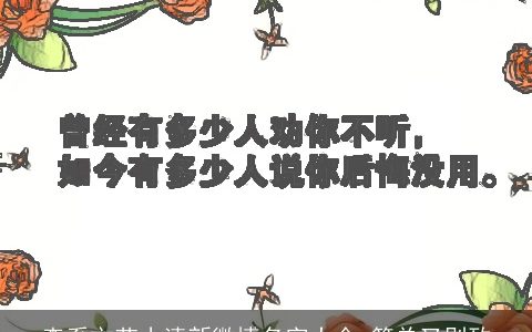 森系文艺小清新微博名字大全 简单又别致