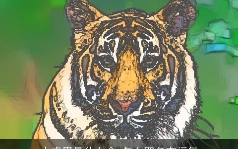 水虎男是什么命 怎么取名有福气