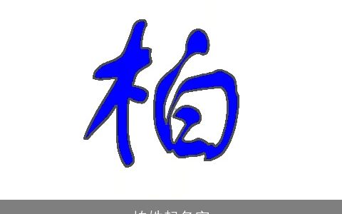 柏姓起名字