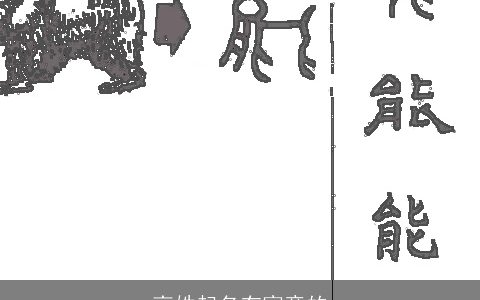 高姓起名有寓意的