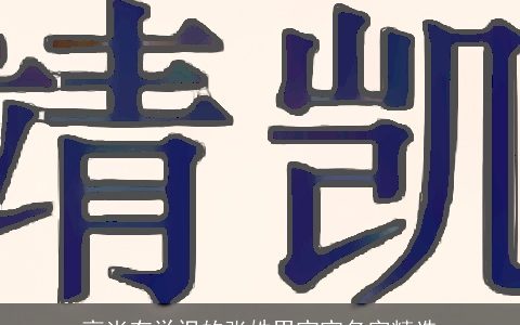 高尚有学识的张姓男宝宝名字精选