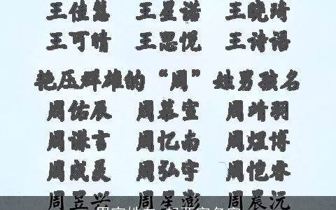 男宝姓白 起两字名字