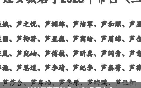 2024年宝宝起名 女孩名字大全