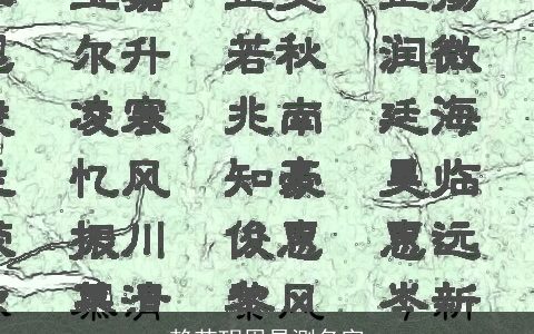 赖芯玥周易测名字