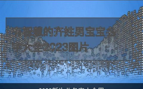 2024新生儿名字大全男