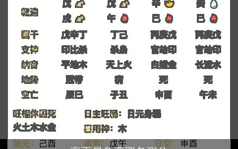 高雨晨免费取名测分