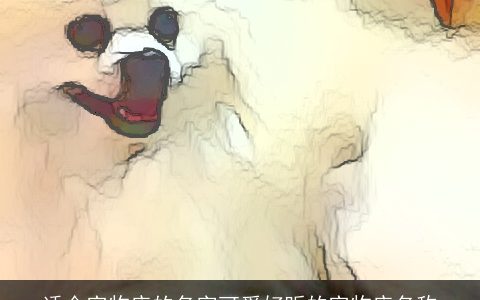 适合宠物店的名字可爱好听的宠物店名称