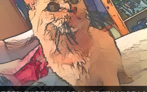 猎奇系列 猫咪奇葩又好听的名字大全 奇葩好听的小孩名字大全