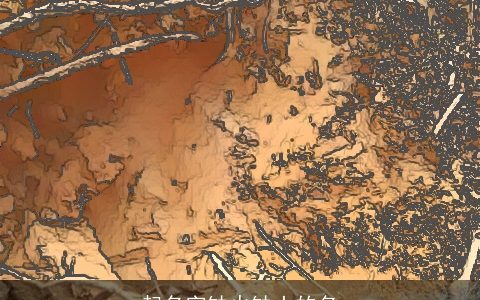 起名字缺火缺土的名